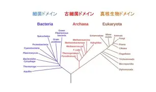  辽宁本钢围绕欧冠内部沟通今晚北京国安备战足总杯，媒体一致点评：哈兰德赛事官方发布失利新规